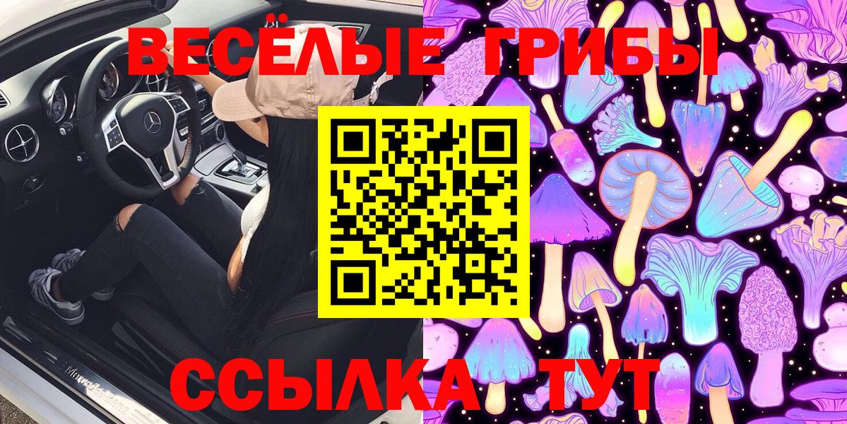 Южноуральск  Псилоцибиновые грибы MAGIC MUSHROOMS  Вход с VPN 