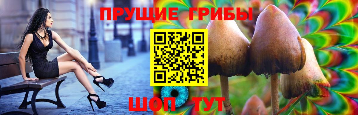 Галлюциногенные грибы Cubensis Южноуральск